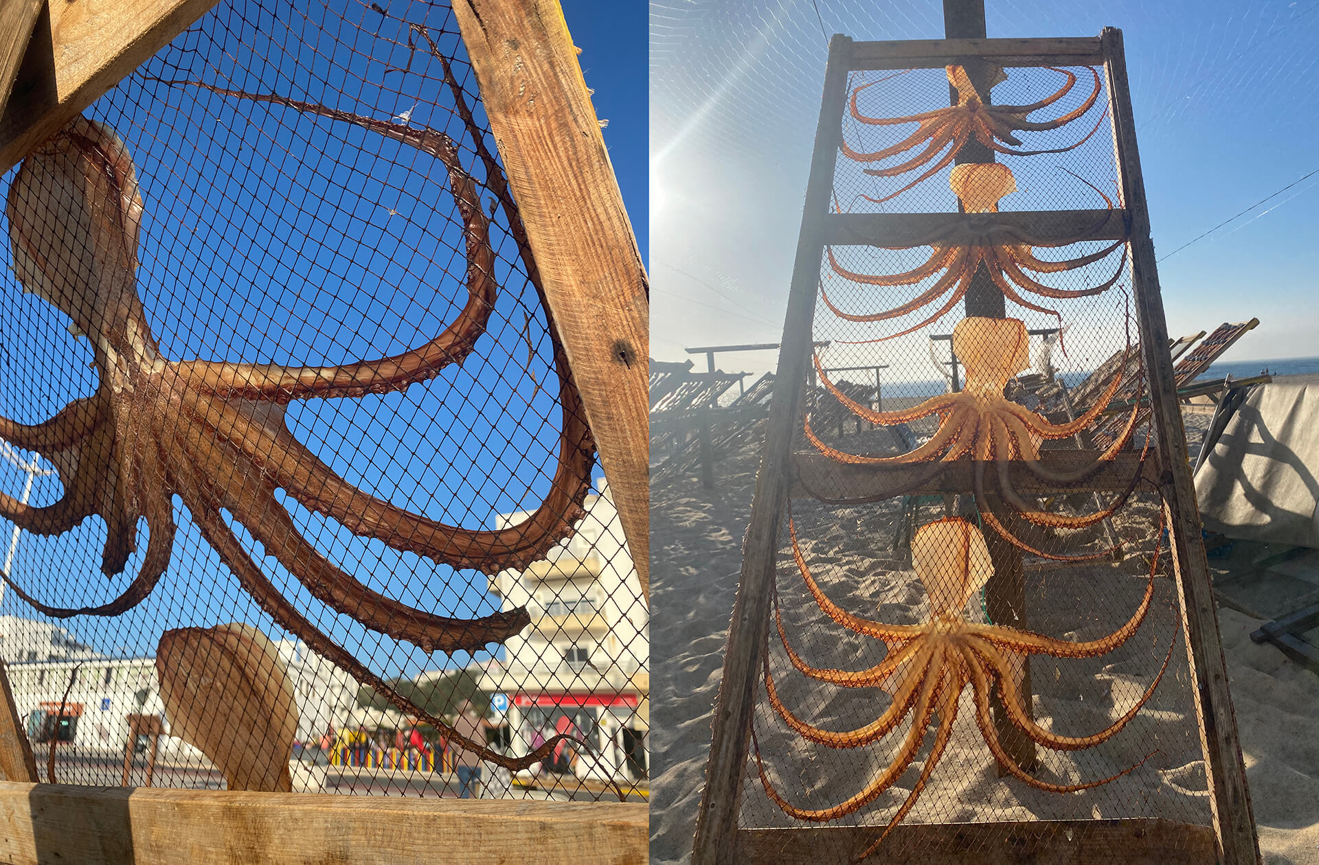 the concept Pátio do Vale